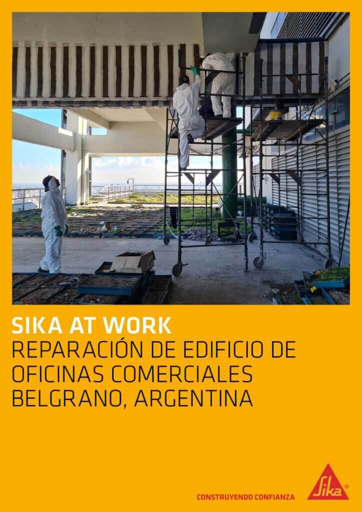 Reparación de Edificio de Oficinas Comerciales – Belgrano, Argentina